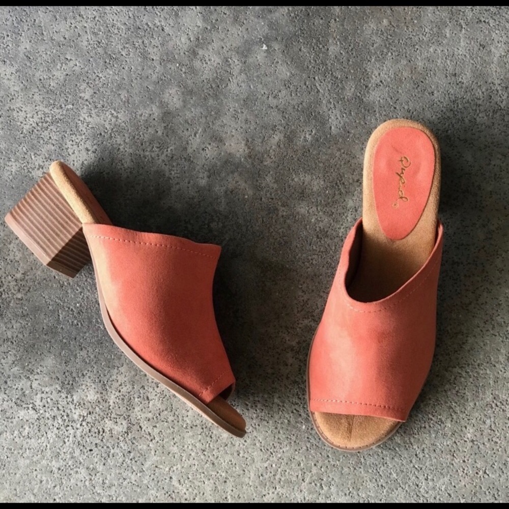 NWT Coral Suede Slide in Heeled Mule